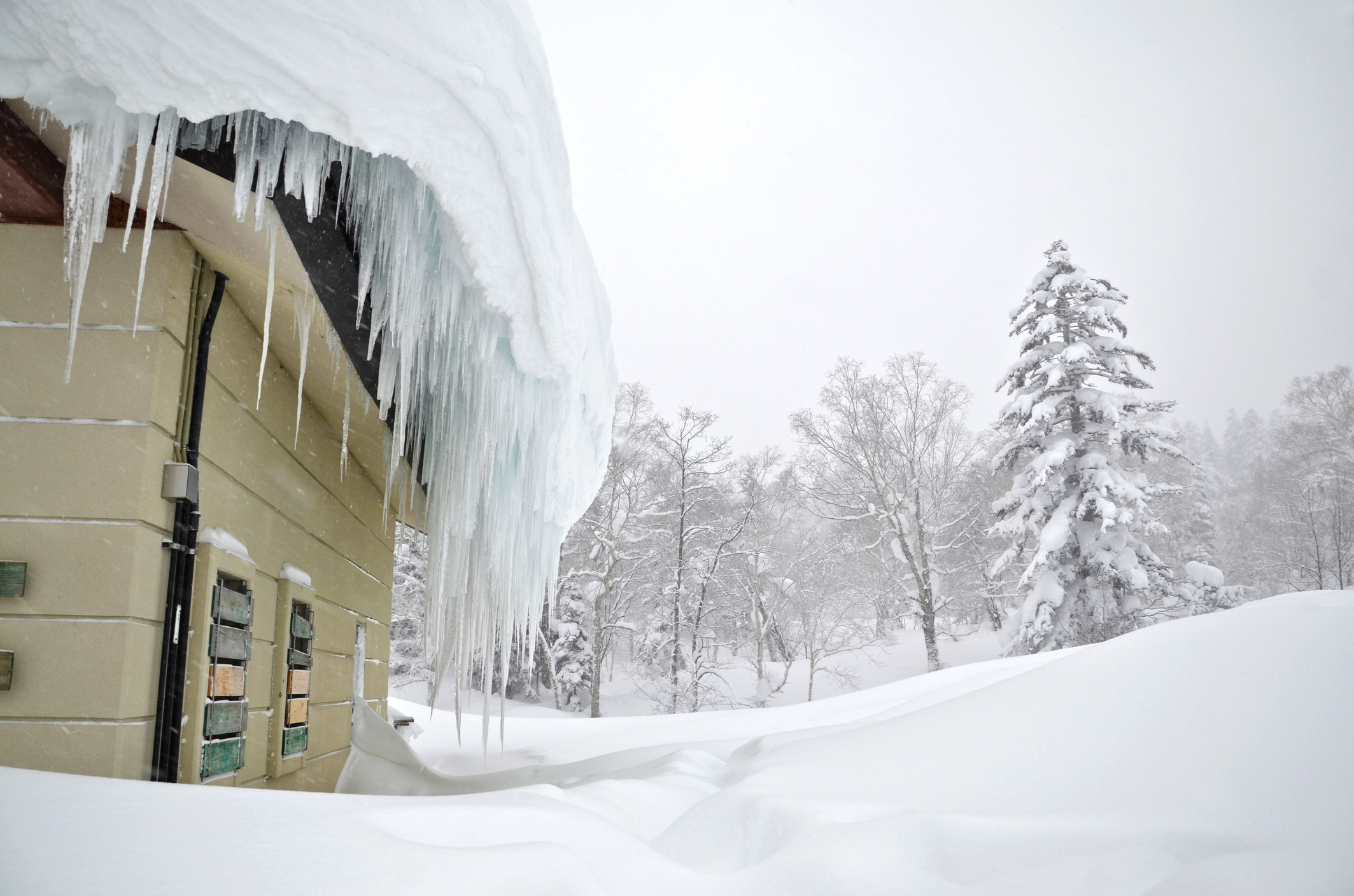 Safely remove snow and ice from roofs and gutter lines.